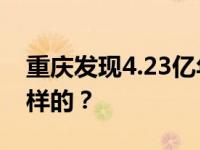 重庆发现4.23亿年前袖珍边城鱼 具体是什么样的？