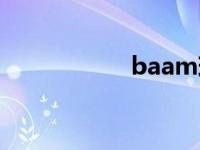 baam现场版（baa）