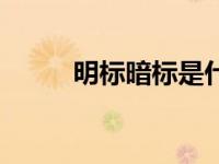 明标暗标是什么意思（何为暗标）