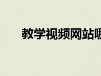 教学视频网站哪个好（视频教学平台）