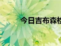 今日吉布森检测呈阳性（吉布森）