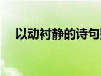 以动衬静的诗句整首（以动衬静的诗句）