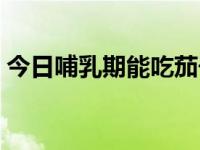 今日哺乳期能吃茄子吗（哺乳期能吃菠萝吗）