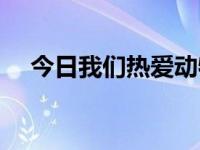 今日我们热爱动物（我们热爱动物就像）
