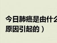 今日肺癌是由什么原因导致的（肺癌是由什么原因引起的）
