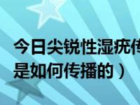 今日尖锐性湿疣传播的途径有哪些（尖锐湿疣是如何传播的）