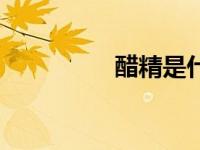 醋精是什么（醋精介绍）