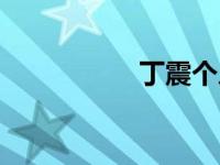 丁震个人简历（丁震）