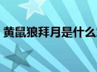 黄鼠狼拜月是什么意思（黄鼠狼拜月的含义）