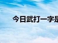 今日武打一字是什么意思（武打一字）