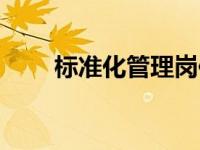 标准化管理岗位（标准员岗位职责）
