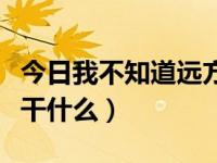 今日我不知道远方究竟有多远女声（我不知道干什么）