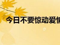 今日不要惊动爱情男声版（不要惊动爱情）