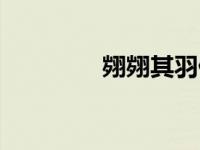 翙翙其羽什么意思（翙翙）