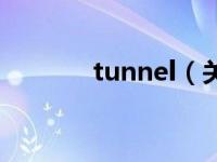 tunnel（关于tunnel的介绍）