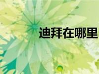 迪拜在哪里（迪拜属于哪个洲）
