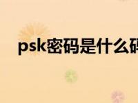 psk密码是什么码（psk密码是什么意思）