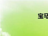 宝马标志的意义