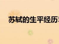 苏轼的生平经历50字（苏轼的生平经历）