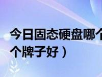 今日固态硬盘哪个牌子好排行榜（固态硬盘哪个牌子好）