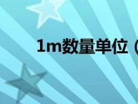 1m数量单位（数量中的1M是多少）
