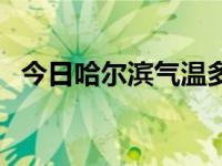 今日哈尔滨气温多少度今天（哈尔滨气温）