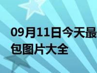 09月11日今天最新更新 林黛玉阴阳怪气表情包图片大全