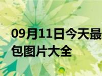 09月11日今天最新更新 林黛玉阴阳怪气表情包图片大全