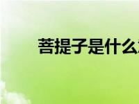 菩提子是什么意思（菩提子的解释）