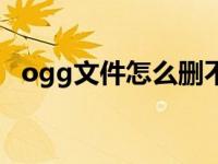 ogg文件怎么删不了（ogg文件怎么打开）