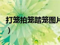 打笼拍笼踏笼图片大全（拍笼踏笼打笼竹鸟笼）