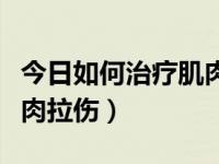 今日如何治疗肌肉酸痛最快方法（如何治疗肌肉拉伤）