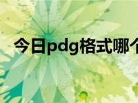 今日pdg格式哪个好用（pdg是什么格式）