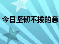 今日坚韧不拔的意思（坚韧不拔是什么意思）