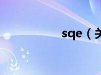 sqe（关于sqe的介绍）