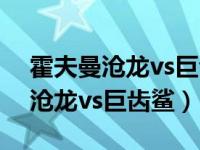 霍夫曼沧龙vs巨齿鲨vs梅尔维尔鲸（霍夫曼沧龙vs巨齿鲨）