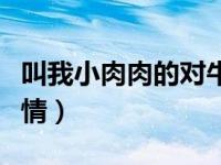 叫我小肉肉的对牛谈情（叫我小肉肉的对牛谈情）