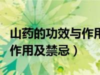 山药的功效与作用及禁忌吃法（山药的功效与作用及禁忌）