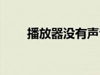 播放器没有声音（播放器没有声音）
