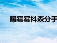 曝霉霉抖森分手 原因曝光双方各执一词