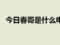 今日春哥是什么电视剧人物（春哥是什么）