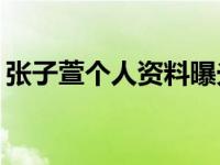 张子萱个人资料曝光 前任老公是杨一柳【图】