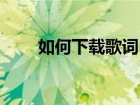 如何下载歌词（下载歌词步骤方法）