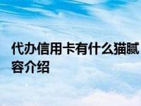 代办信用卡有什么猫腻 背后的风险要清楚！具体情况详细内容介绍