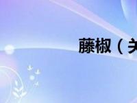 藤椒（关于藤椒的介绍）