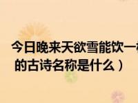 今日晚来天欲雪能饮一杯无的含义（晚来天欲雪 能饮一杯无 的古诗名称是什么）