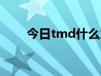 今日tmd什么意思（tmd什么意思）