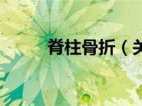 脊柱骨折（关于脊柱骨折的介绍）