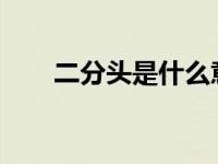 二分头是什么意思（eft是什么意思）