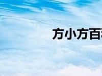 方小方百科（方小方落马）